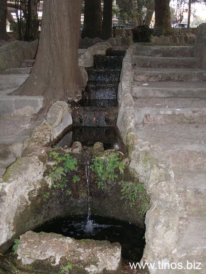 rodos 354